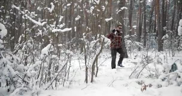 Baard man wandelen tussen pijnbomen met bijl — Stockvideo