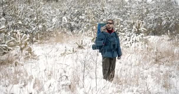 Turista con mochila caminando en el bosque durante el invierno — Vídeos de Stock