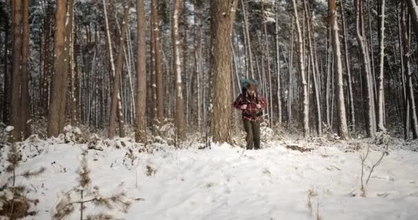 Mature male hiker walking among snow-covered woods — Stock Video