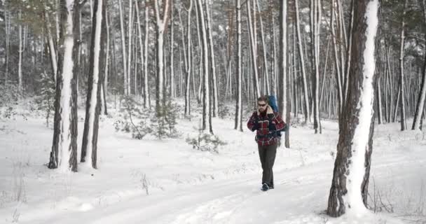 Reifer Tourist spaziert durch frostigen Winterwald — Stockvideo