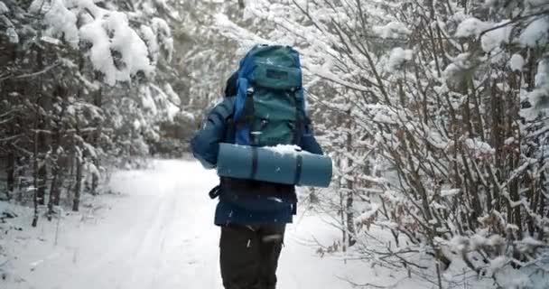 Volwassen man dragen rugzak terwijl lopen in besneeuwd bos — Stockvideo