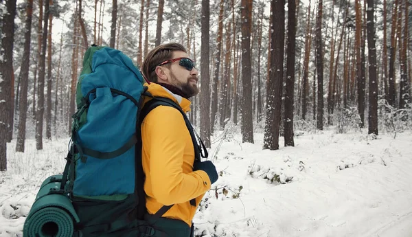 Hiking traveler enjoying winter forest — Stockfoto