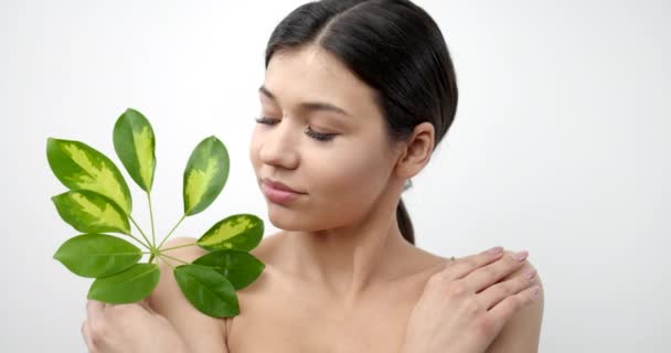 Charming young woman standing in studio with green leaf — Stock Video