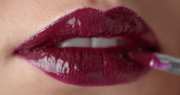 Плюшевые женские губы с марсальной помадой, нанесенной кистью — стоковое видео