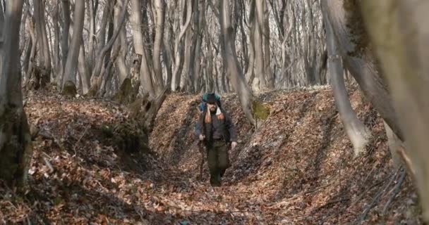 Мужская туристическая прогулка в лесу — стоковое видео