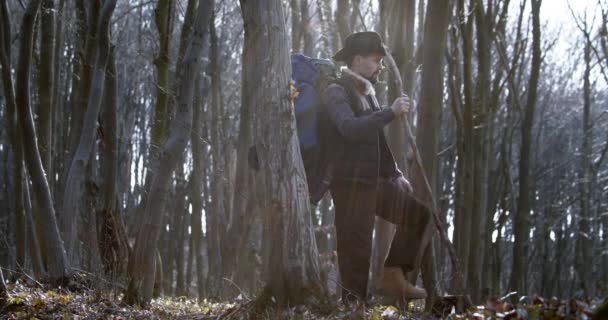 Caminata Turística Masculina en Sunny Forest — Vídeos de Stock