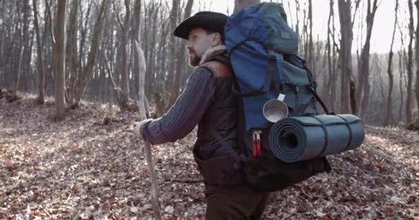 Férfi Tourist Walking in Forest Vissza Kilátás — Stock videók