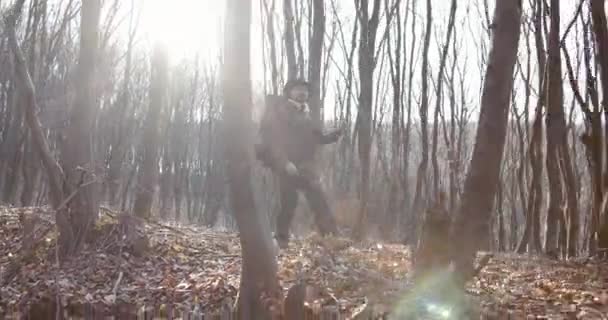 Traveller Man Walking in Forest — Stock video