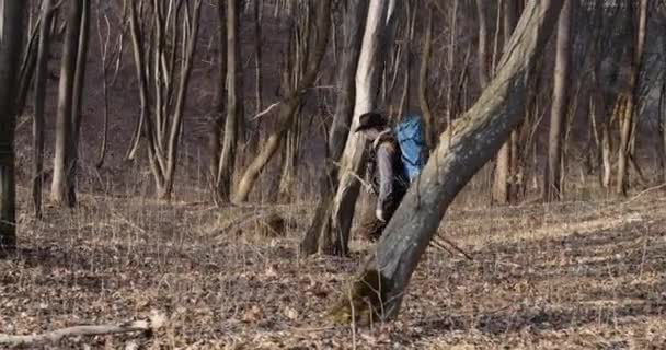 Hombre viajero caminando en el bosque — Vídeos de Stock