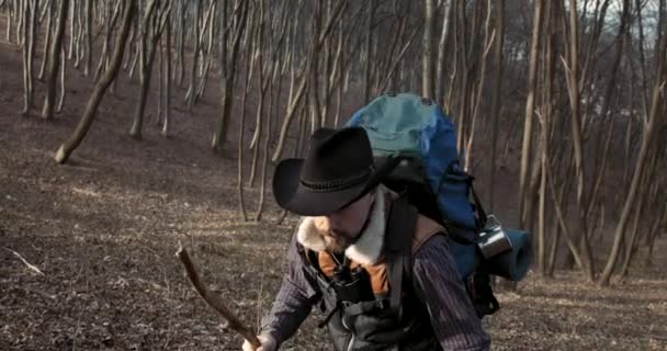 Man toeristisch wandelen Uphill in het bos — Stockvideo