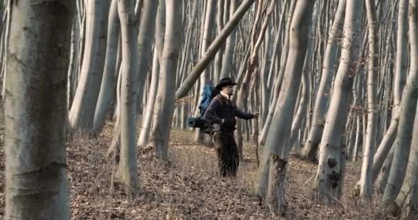 Туристическая прогулка среди лесных деревьев — стоковое видео