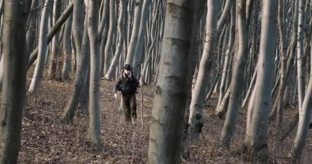 Homem viajante caminhando na floresta — Vídeo de Stock