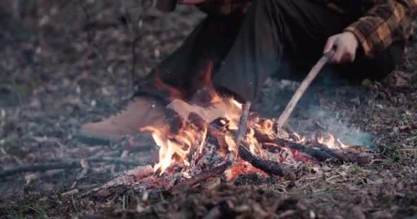 Hombre sentado cerca del fuego en el bosque — Vídeo de stock