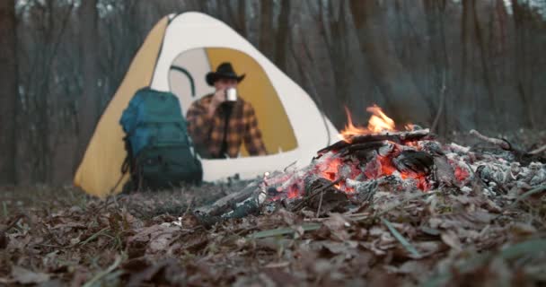 Мандрівник сидить у лісовому таборі — стокове відео