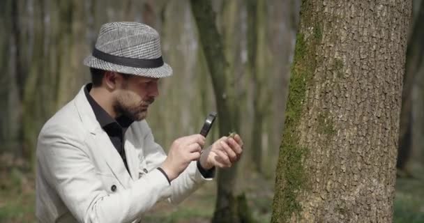Зрелый ботаник осматривает мох через лупу — стоковое видео