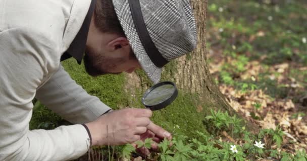 Компетентный ботаник, изучающий цветы через лупу — стоковое видео