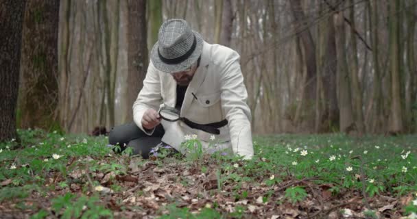 Kompetent botaniker undersöker levande växter i skogen — Stockvideo