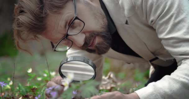 Pewny siebie mężczyzna badający małe kwiaty z lupą — Wideo stockowe