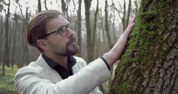 Zelfverzekerde man onderzoekt groen mos op oude boom — Stockvideo