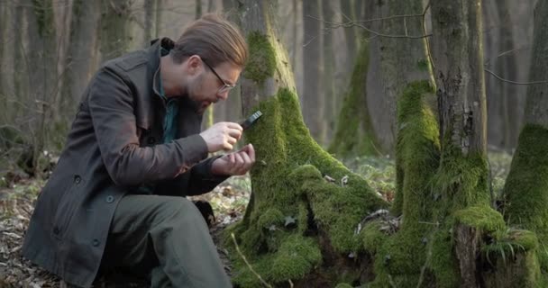 Bearded man examining green moss with loupe — Stock Video