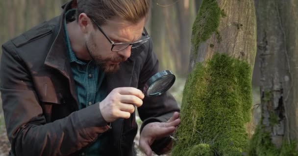 Ботаник в очках тщательно исследует мох на старом дереве — стоковое видео