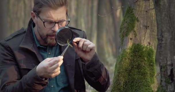 森で生きた植物の特徴を研究する成熟生物学者 — ストック動画