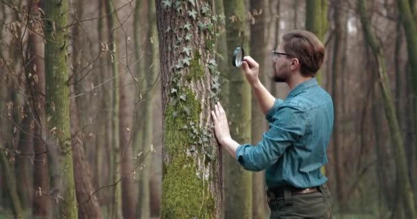 Biolog badający rośliny ze szkłem powiększającym w lesie — Wideo stockowe