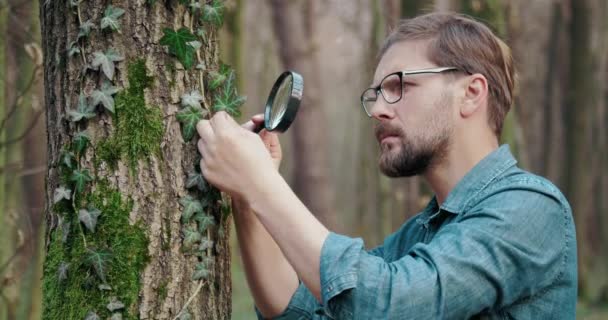 Soustředěný biolog zkoumající lesní prostředí — Stock video