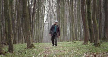 Bahar ormanlarında yürüyen sakallı botanikçi.