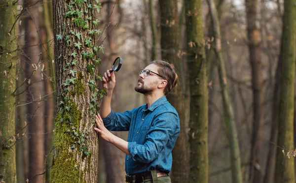 Botánico mirando la corteza del árbol —  Fotos de Stock