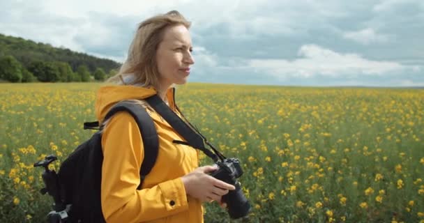 Зріла жінка йде полем і фотографує — стокове відео