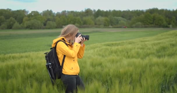 Fotógrafa fotografiando campo de trigo verde — Vídeo de stock