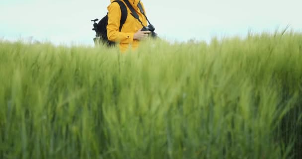 Mulher bonita passar tempo livre para fotografar campo verde — Vídeo de Stock