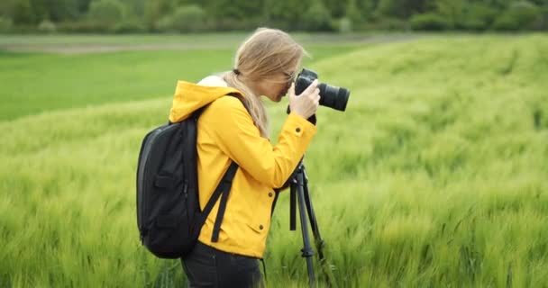 Fotograf korzystający ze statywu do robienia zdjęć pola pszenicy — Wideo stockowe