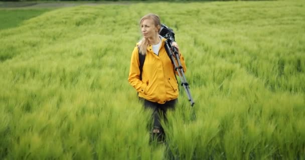 Kvinna går bland vetefält med ryggsäck och stativ — Stockvideo
