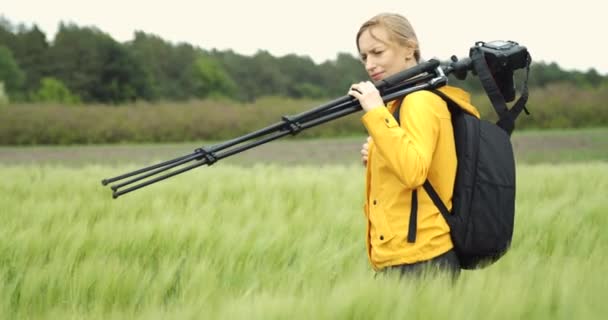 Rijpere dame gaat door tarweveld met camera en statief — Stockvideo