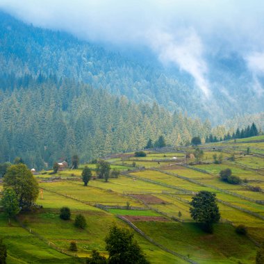 Dağ manzarası ve şafakta yağmur bulutları ile çayır