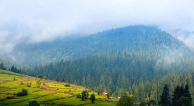 Dağ manzarası ve şafakta güneş tarafından aydınlatılmış çayır