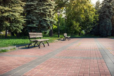 Yaz parkta eski ahşap banklar