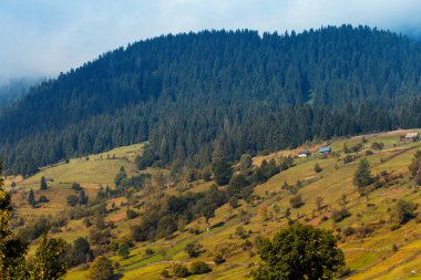 Güzel sonbahar dağ manzarası ile sis şafak