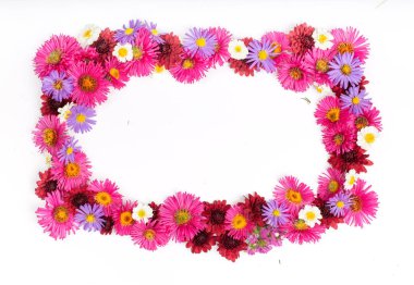 Çerçevelemek--dan çeşitli kır çiçekleri beyaz bir arka plan üzerinde