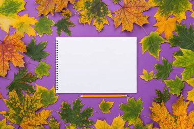 Renkli sonbahar çerçevesinde boş albümü yaprakları