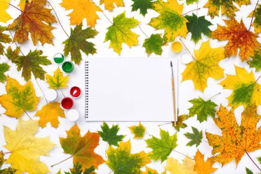 Sonbahar çerçevesinde boya ile boş albümü yaprakları