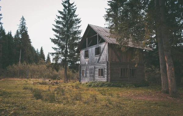 Старый заброшенный деревянный дом в лесу — стоковое фото