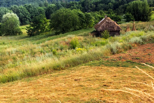 Linda paisagem de verão com casa de palha velha — Fotografia de Stock