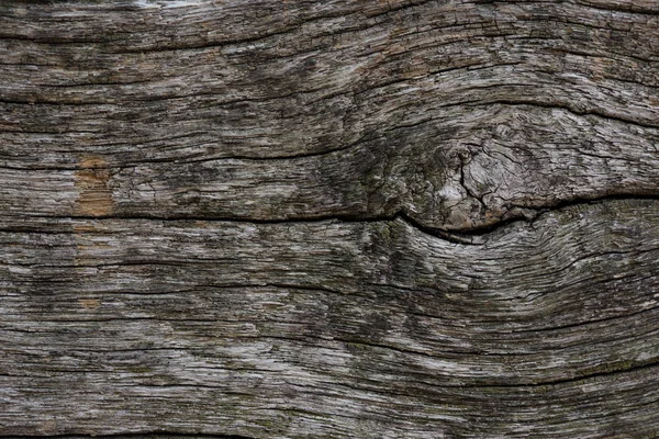 Fondo in legno. Primo piano della vecchia struttura in legno grigio — Foto Stock