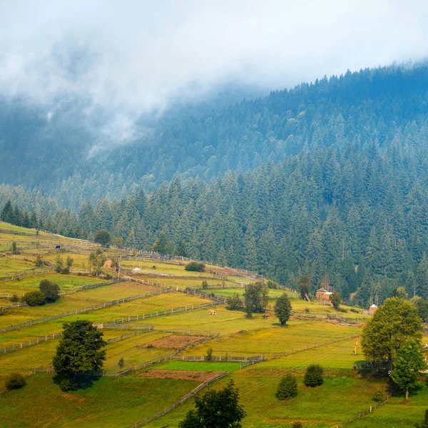 Bela paisagem de montanha de outono com névoa e curral animal — Fotografia de Stock