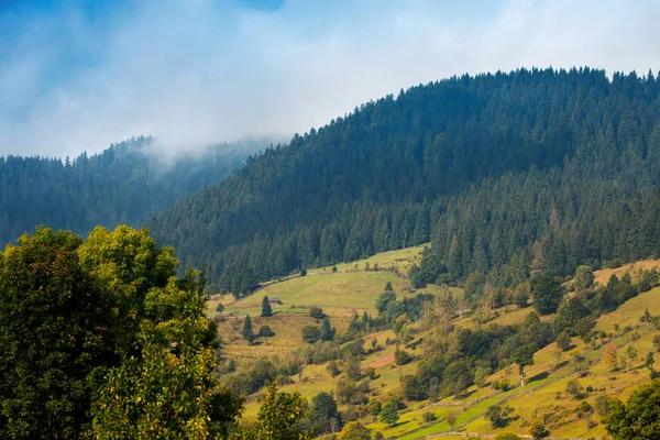 Bela paisagem de montanha de outono com névoa ao amanhecer — Fotografia de Stock