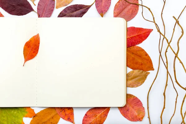 Open Kladblok met herfst bladeren. Van bovenaf bekijken — Stockfoto