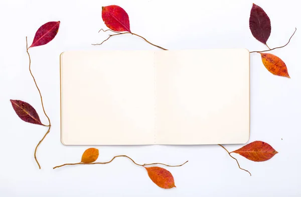 Open Kladblok met herfst bladeren op witte achtergrond — Stockfoto